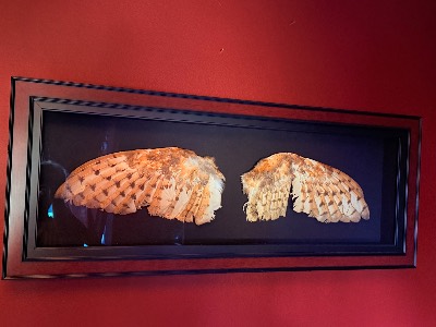 Estate sale item photo 2
