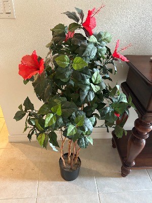 Estate sale item photo 60