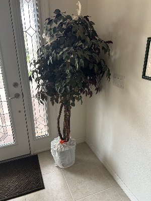 Estate sale item photo 24
