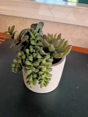 Estate sale item photo 11