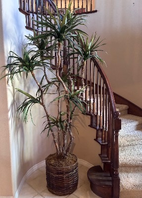 Estate sale item photo 32